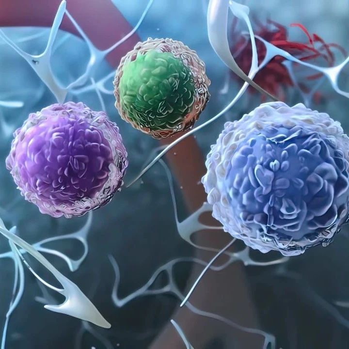 CAR-T细胞治疗后继发第二原发恶性肿瘤：基于回顾性分析的长期监测警示'