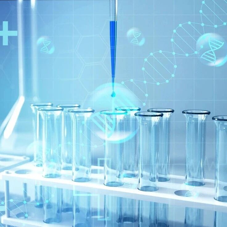 基于CAR-T治疗相关免疫相关不良事件（CirAE）风险因素的临床干预路径——从ICANS扩展到多维度毒性谱系'